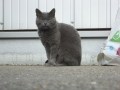 Mäusle (5)